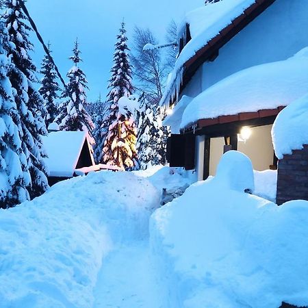 Hotel Uki & Sofi Mountain House à Kopaonik Extérieur photo