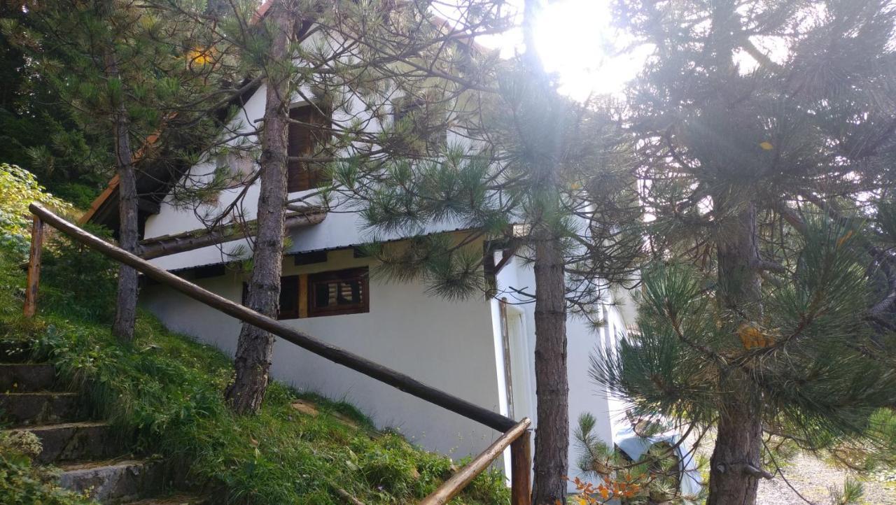 Hotel Uki & Sofi Mountain House à Kopaonik Extérieur photo