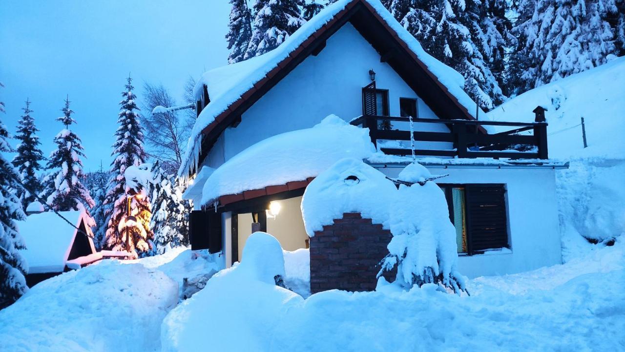 Hotel Uki & Sofi Mountain House à Kopaonik Extérieur photo