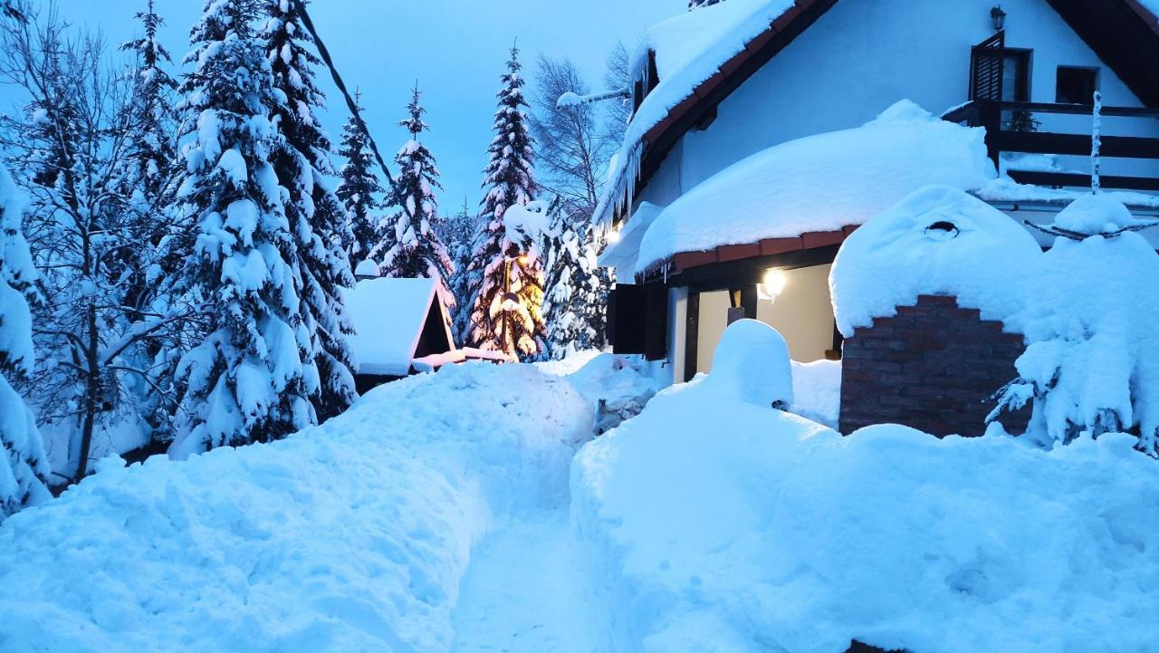 Hotel Uki & Sofi Mountain House à Kopaonik Extérieur photo
