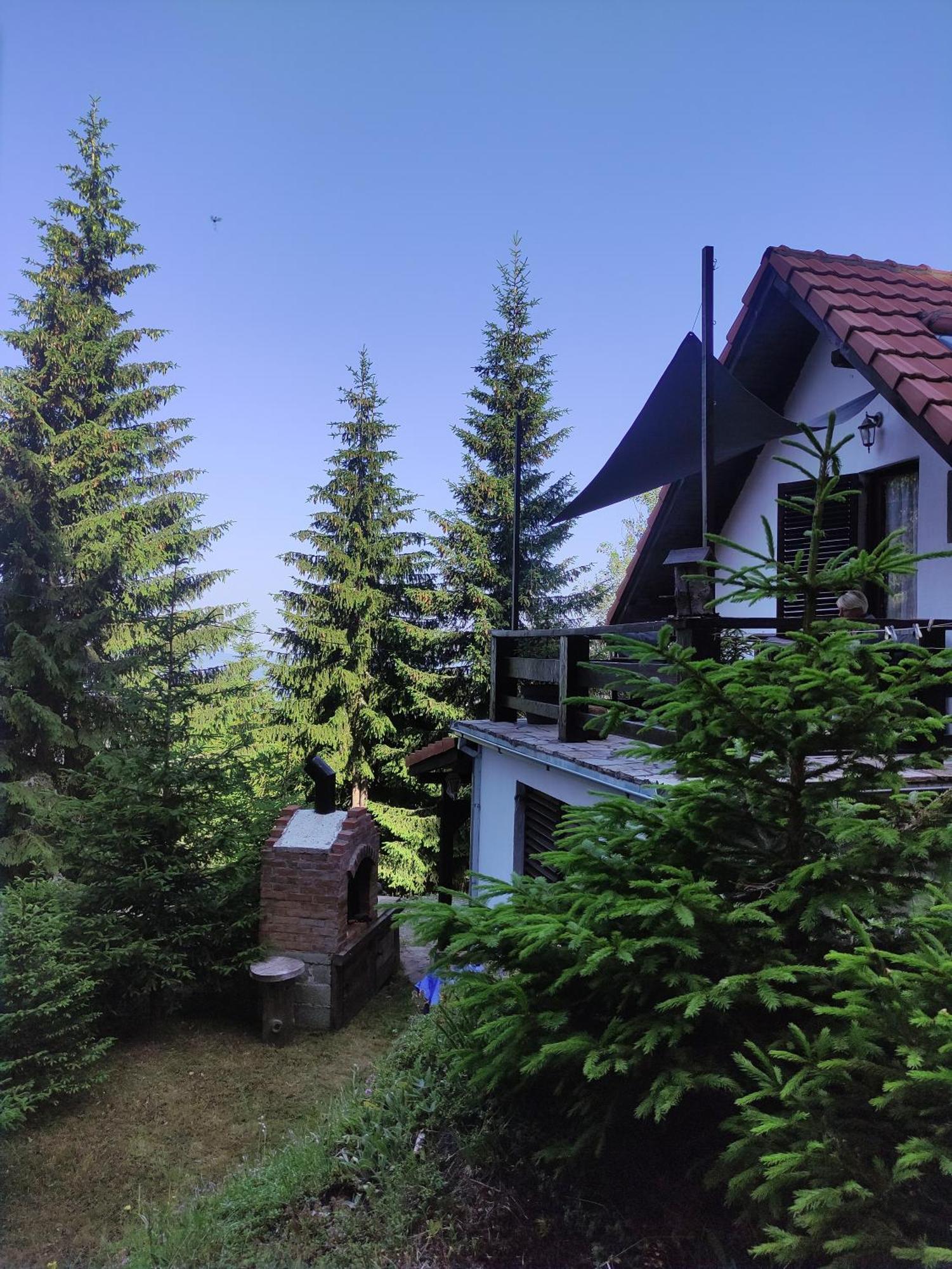 Hotel Uki & Sofi Mountain House à Kopaonik Chambre photo