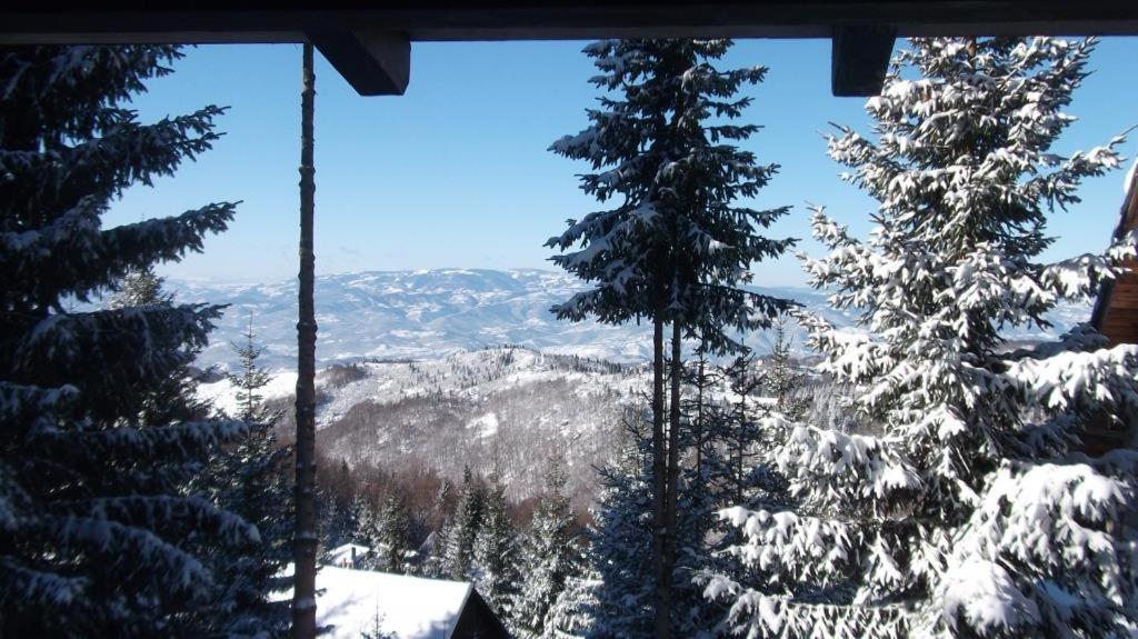 Hotel Uki & Sofi Mountain House à Kopaonik Extérieur photo